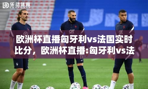歐洲杯直播匈牙利vs法國(guó)實(shí)時(shí)比分，歐洲杯直播:匈牙利vs法國(guó)在線觀看 