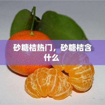 砂糖桔熱門(mén)，砂糖桔含什么 