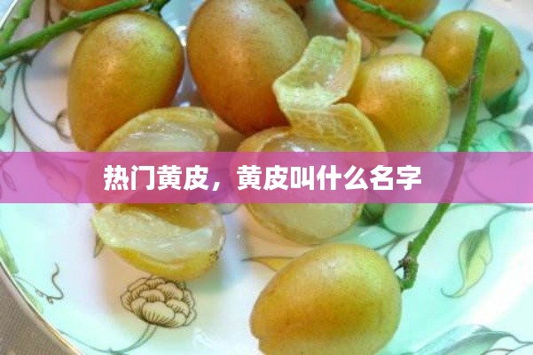 關(guān)于我們 第130頁