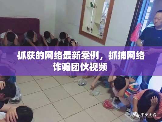 抓獲的網(wǎng)絡(luò)最新案例，抓捕網(wǎng)絡(luò)詐騙團(tuán)伙視頻 