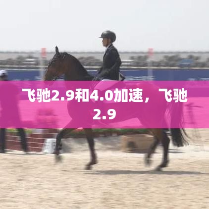 飛馳2.9和4.0加速，飛馳 2.9 