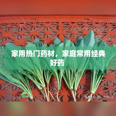 家用熱門藥材，家庭常用經(jīng)典好藥 