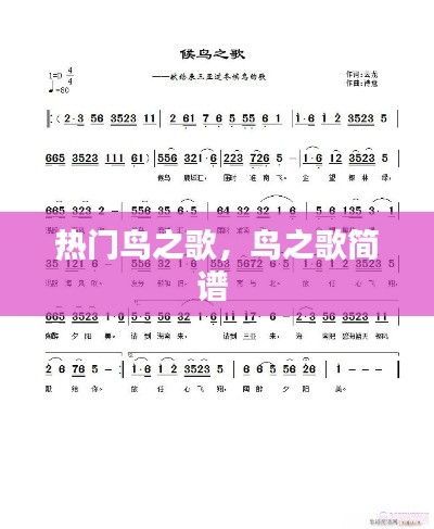 熱門鳥之歌，鳥之歌簡(jiǎn)譜 