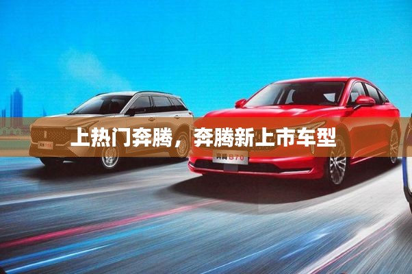 技術(shù)支持 第118頁