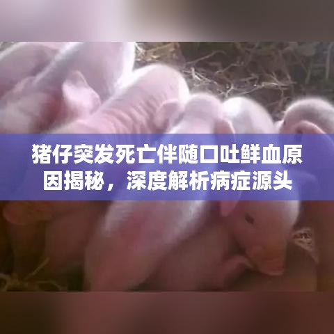 聯(lián)系我們 第117頁(yè)