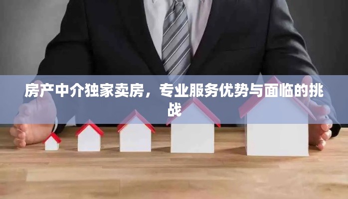 房產(chǎn)中介獨(dú)家賣房，專業(yè)服務(wù)優(yōu)勢(shì)與面臨的挑戰(zhàn)