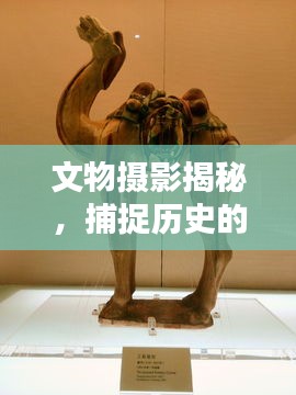 服務(wù)項目 第115頁