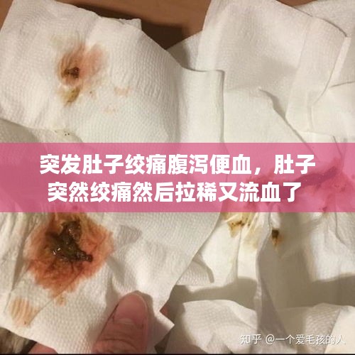 突發(fā)肚子絞痛腹瀉便血，肚子突然絞痛然后拉稀又流血了 