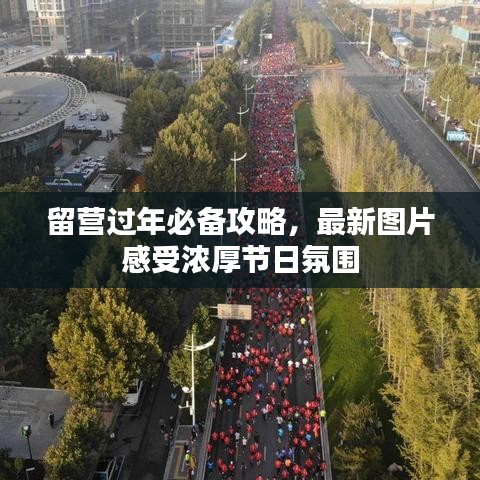 留營過年必備攻略，最新圖片感受濃厚節(jié)日氛圍