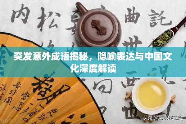 突發(fā)意外成語揭秘，隱喻表達與中國文化深度解讀
