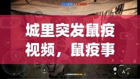 城里突發(fā)鼠疫視頻，鼠疫事件 