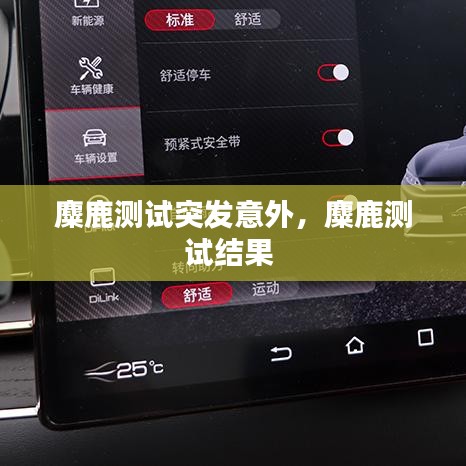 麋鹿測試突發(fā)意外，麋鹿測試結(jié)果 
