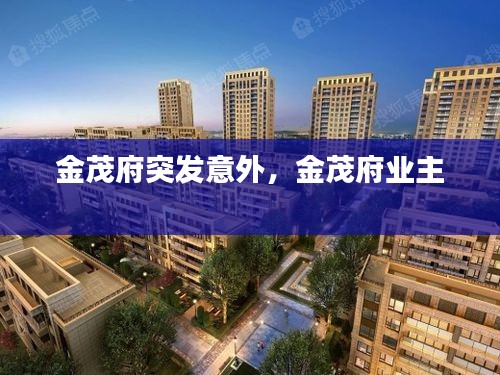 金茂府突發(fā)意外，金茂府業(yè)主 