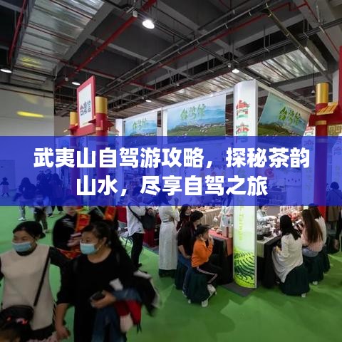 武夷山自駕游攻略，探秘茶韻山水，盡享自駕之旅