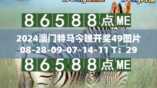 2024澳門(mén)特馬今晚開(kāi)獎(jiǎng)49圖片08-28-09-07-14-11 T：29