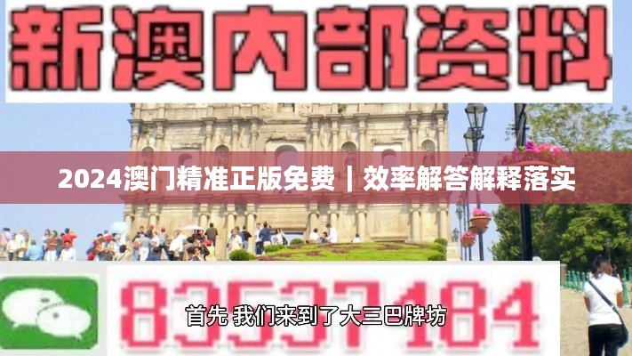 2024澳門精準(zhǔn)正版免費(fèi)｜效率解答解釋落實(shí)