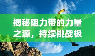 2025年2月 第195頁(yè)