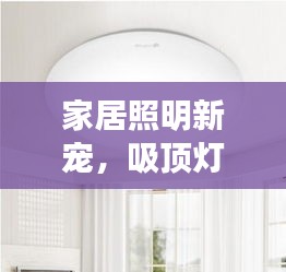 家居照明新寵，吸頂燈，你的首選！百度帶你探索更多選擇！