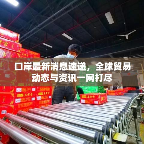 口岸最新消息速遞，全球貿易動態(tài)與資訊一網(wǎng)打盡