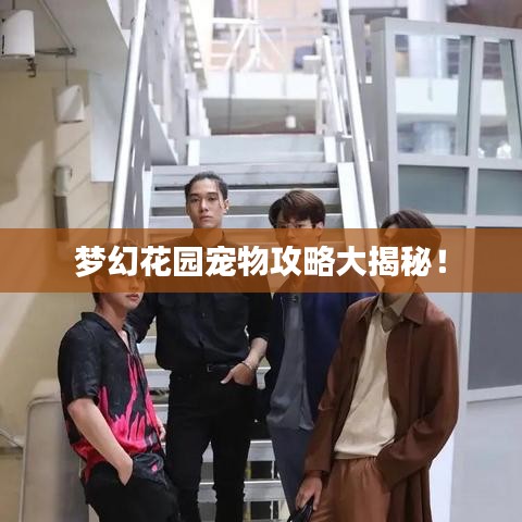 夢幻花園寵物攻略大揭秘！