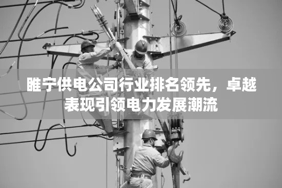 睢寧供電公司行業(yè)排名領(lǐng)先，卓越表現(xiàn)引領(lǐng)電力發(fā)展潮流