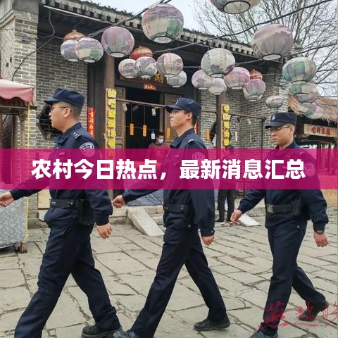 農(nóng)村今日熱點(diǎn)，最新消息匯總