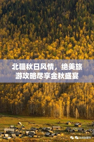 北疆秋日風(fēng)情，絕美旅游攻略盡享金秋盛宴