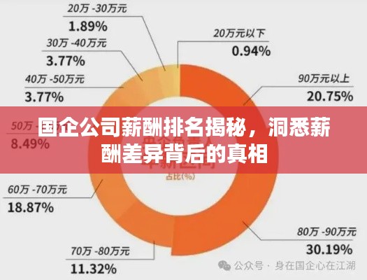 國(guó)企公司薪酬排名揭秘，洞悉薪酬差異背后的真相