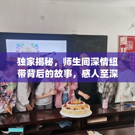 獨(dú)家揭秘，師生間深情紐帶背后的故事，感人至深！