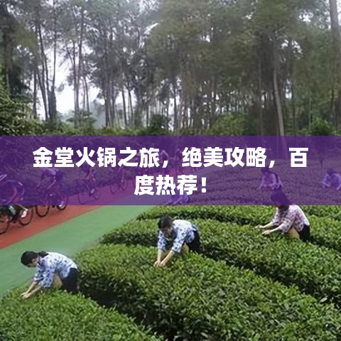 金堂火鍋之旅，絕美攻略，百度熱薦！