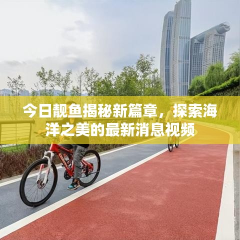 今日靚魚揭秘新篇章，探索海洋之美的最新消息視頻