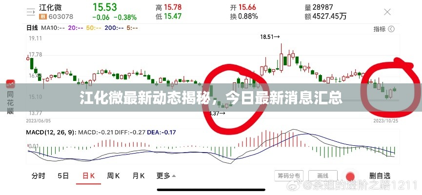 江化微最新動態(tài)揭秘，今日最新消息匯總