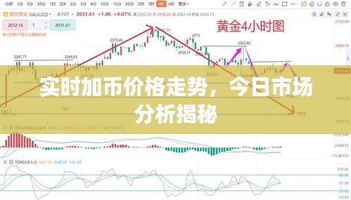 實時加幣價格走勢，今日市場分析揭秘