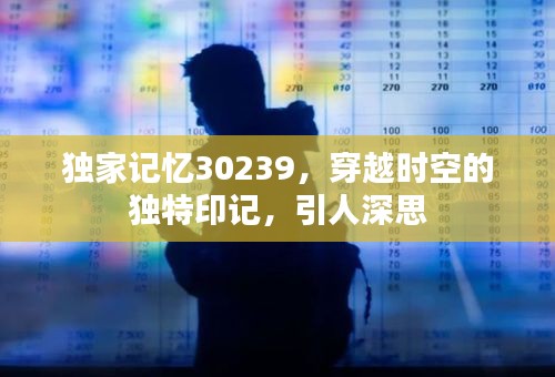 獨(dú)家記憶30239，穿越時(shí)空的獨(dú)特印記，引人深思