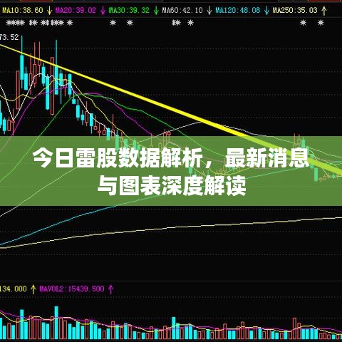 今日雷股數(shù)據(jù)解析，最新消息與圖表深度解讀