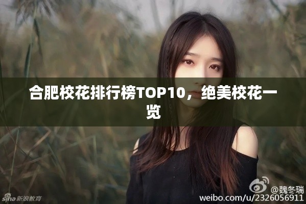 合肥校花排行榜TOP10，絕美?；ㄒ挥[