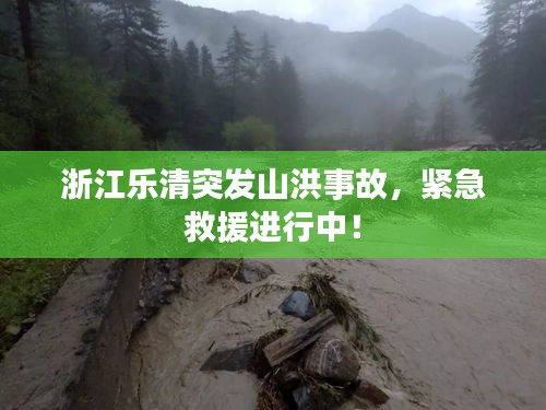 浙江樂清突發(fā)山洪事故，緊急救援進(jìn)行中！