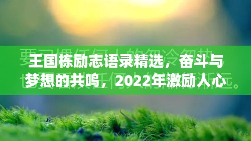 王國棟勵志語錄精選，奮斗與夢想的共鳴，2022年激勵人心的話語