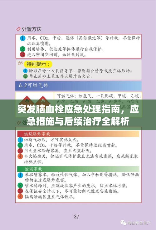 突發(fā)腦血栓應(yīng)急處理指南，應(yīng)急措施與后續(xù)治療全解析
