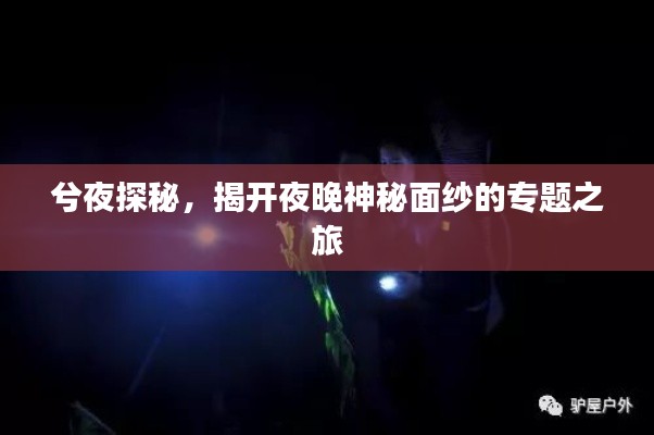 兮夜探秘，揭開夜晚神秘面紗的專題之旅