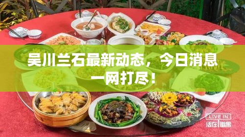 吳川蘭石最新動態(tài)，今日消息一網打盡！