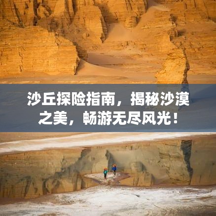沙丘探險(xiǎn)指南，揭秘沙漠之美，暢游無(wú)盡風(fēng)光！