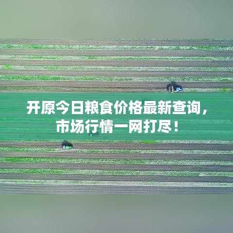 開原今日糧食價(jià)格最新查詢，市場(chǎng)行情一網(wǎng)打盡！