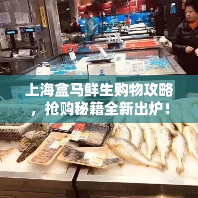 上海盒馬鮮生購(gòu)物攻略，搶購(gòu)秘籍全新出爐！
