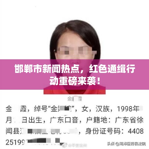 邯鄲市新聞熱點(diǎn)，紅色通緝行動(dòng)重磅來襲！
