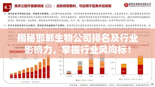 揭秘邯鄲生物公司排名及行業(yè)影響力，掌握行業(yè)風(fēng)向標(biāo)！