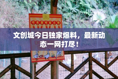 文創(chuàng)城今日獨家爆料，最新動態(tài)一網(wǎng)打盡！