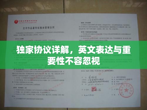 獨家協(xié)議詳解，英文表達與重要性不容忽視