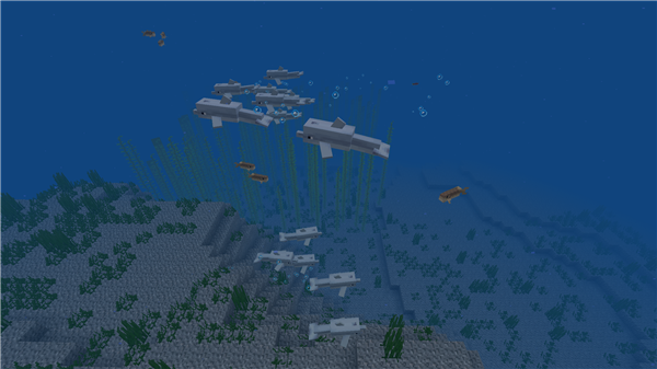 我的世界海洋版本，迅速設(shè)計解答方案_進階款_v1.890，替代知名付費軟件的理想選擇