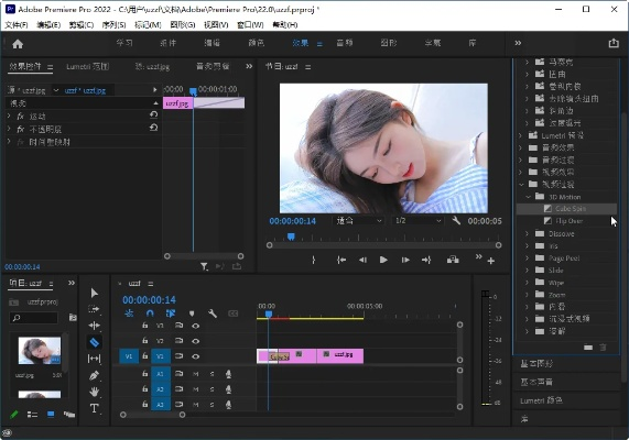 pr破解版官方下載,高效策略實(shí)施_特供款_v10.326